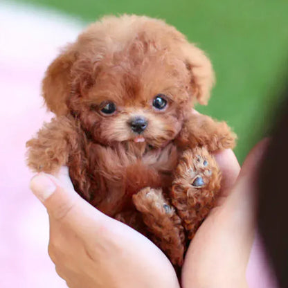 🐶🌭Nico - My Realistic Robot Puppy
